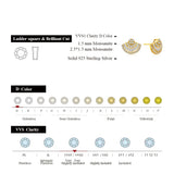 Luxury MINTYBOX S925 Sterling Silver Diamond Moissanite Stud Earrings for Women 18k White Gold Plated Luxury Wedding Fine Jewelry - Premium Fine Jewelry by Hennafy Jewel